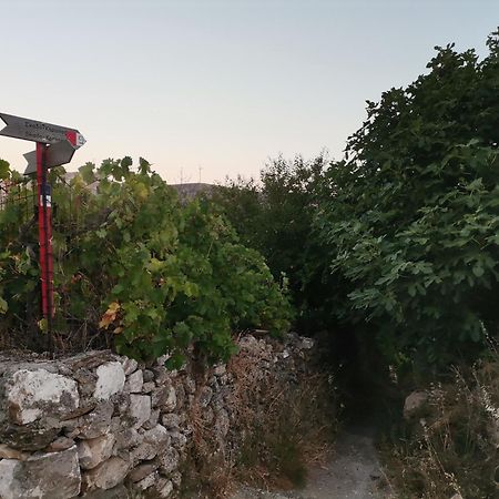 Naxos Mountain Retreat - Tiny House Build On Rock Apartment Koronos Екстериор снимка