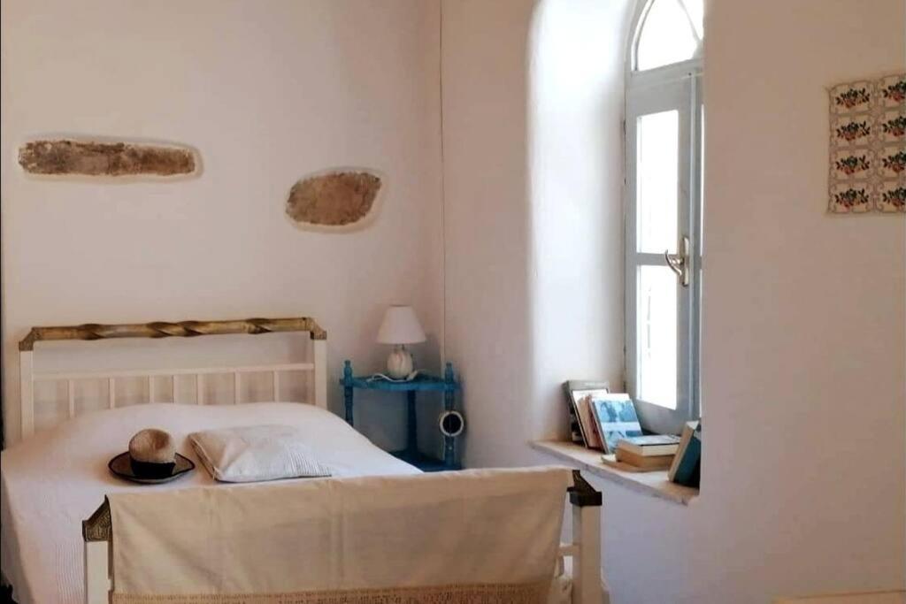 Naxos Mountain Retreat - Tiny House Build On Rock Apartment Koronos Екстериор снимка