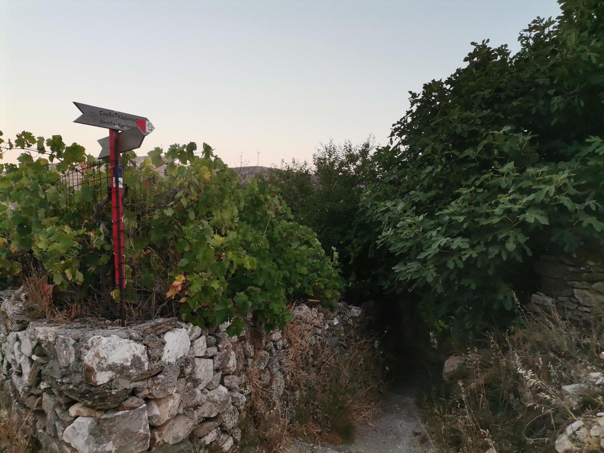 Naxos Mountain Retreat - Tiny House Build On Rock Apartment Koronos Екстериор снимка